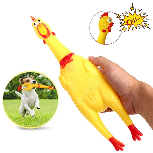 Dog Chicken Squeak Toy